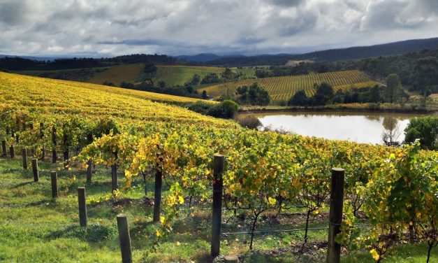 Australische shiraz anno 2021