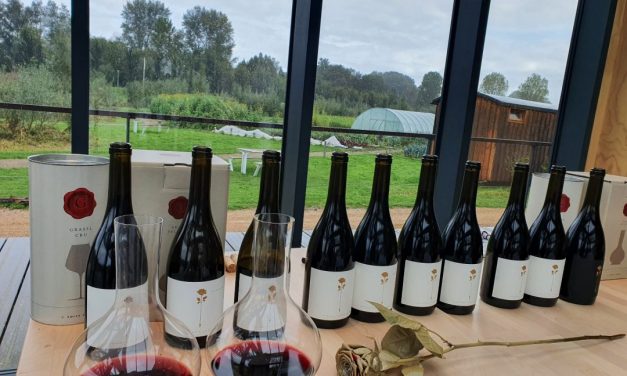 Op weg naar de beste pinot noir van de USA!