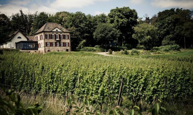 De unieke terroirwijnen van Weingut Odinstal