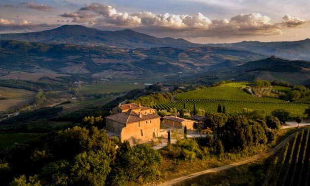 Gastronomische wijnen uit Toscane van Verkerk Wijnimport