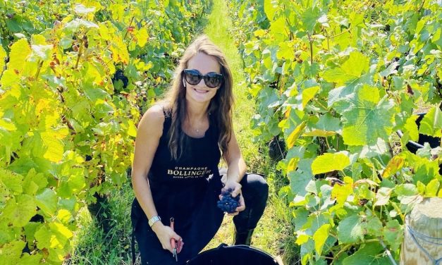 Champagne Bollinger, oogst 2021