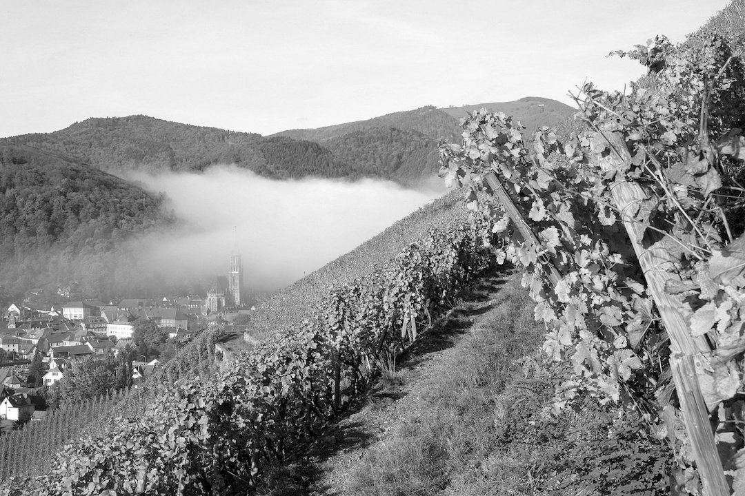 Rangen Grand Cru Clos Saint-Théobald Riesling, Domaine Schoffit, Alsace, Frankrijk 2012