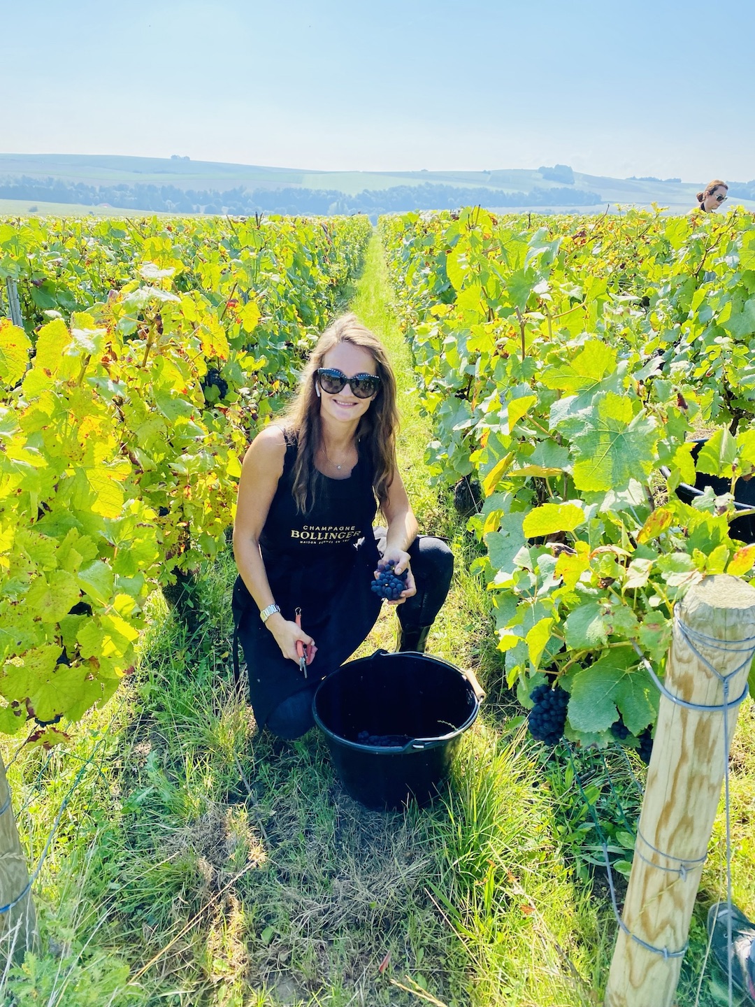 In de wijngaard In de wijngaard