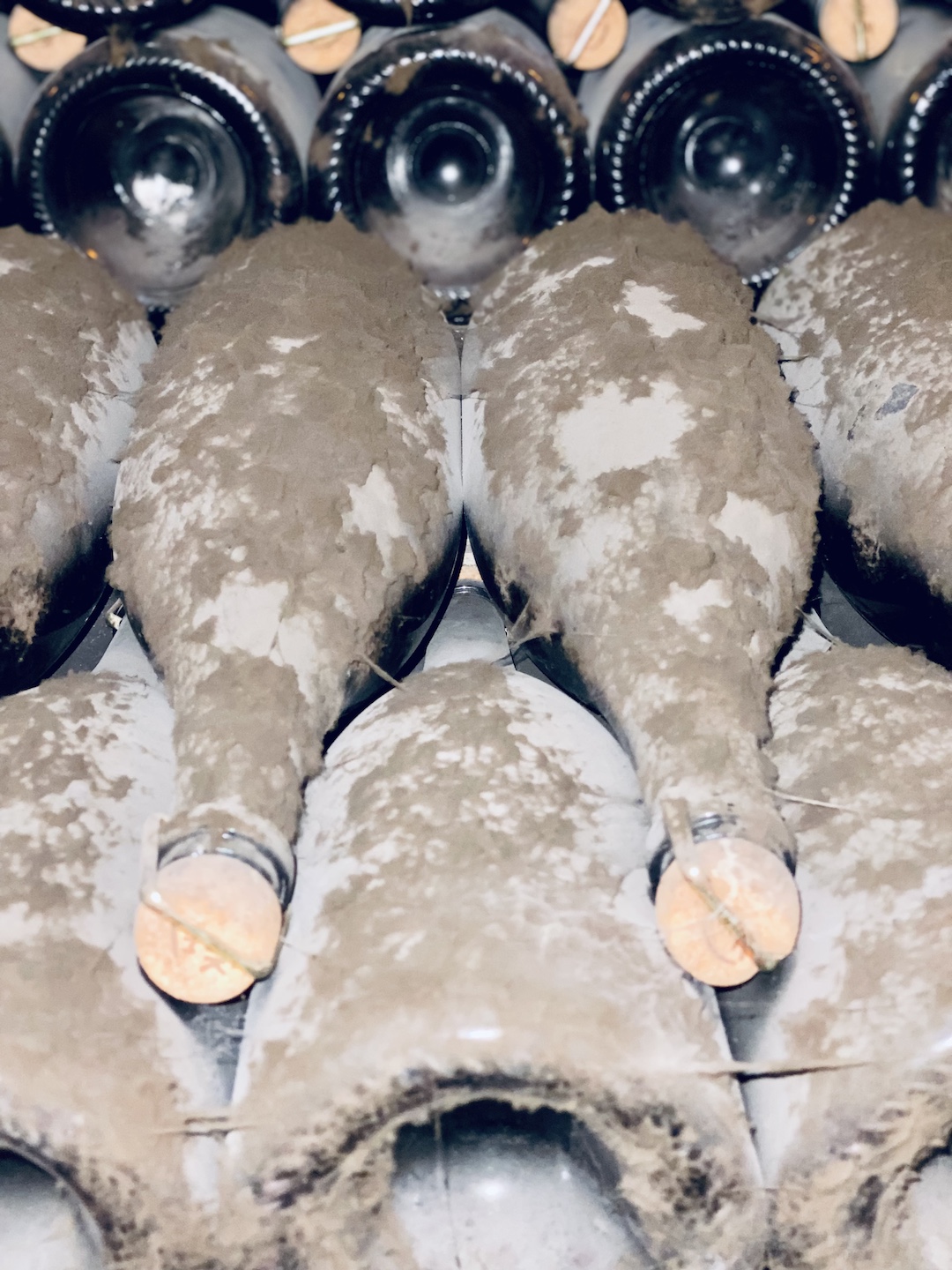 In de kelders In de kelders