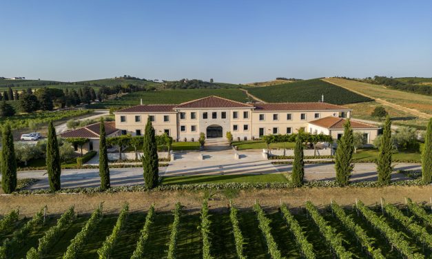 Cecchi: Toscaanse wijnen voor ieder budget