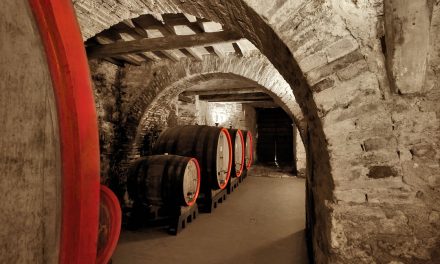 Complexe en elegante wijnen van Piccolomini