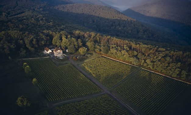 Biodynamische rieslings van Odinstal en Beurer