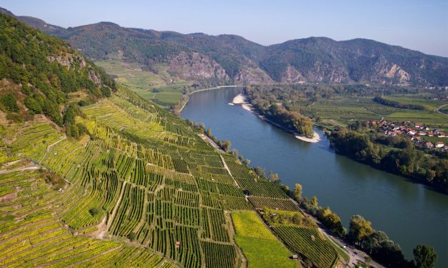 Ried Achleiten: grand cru-wijnen van Domäne Wachau