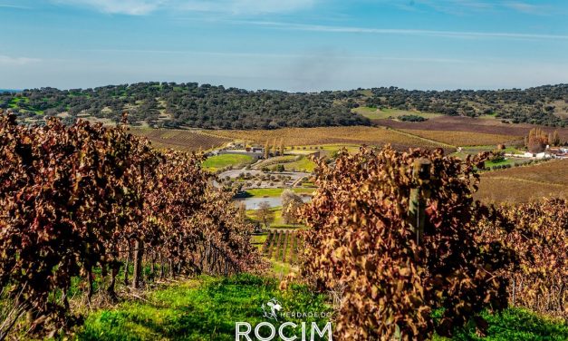 Veelzijdige ambitie van Herdade do Rocim