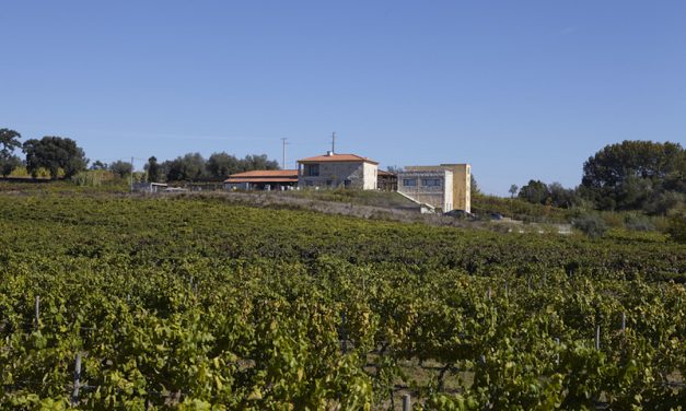 Veel variatie op jaarlijkse Portugese wijnproeverij