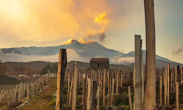 Wijnbouw op de Etna: een kwestie van goed op de hoogte zijn