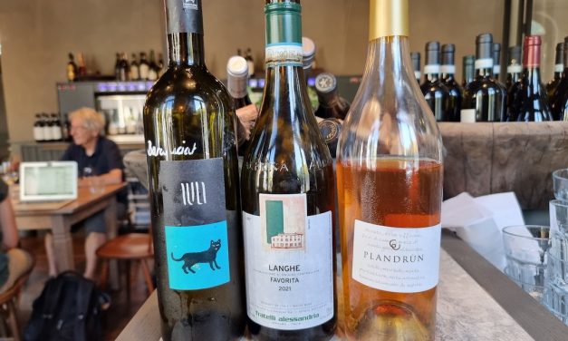 Zijn er nog andere druivensoorten in Piemonte met potentie voor de horeca?