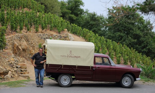 Rhône Valley Giants