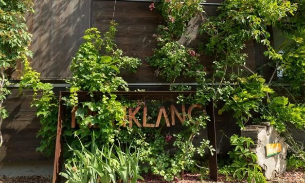 Natuurwijnen van Meinklang: van toegankelijk tot overweldigend