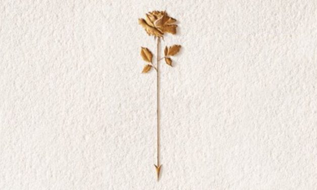 Rose & Arrow: pinot noir voor collectioneurs