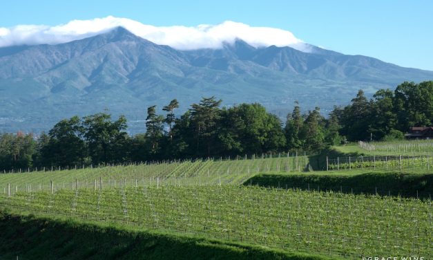 Wine Professional primeur: Japanse wijnen