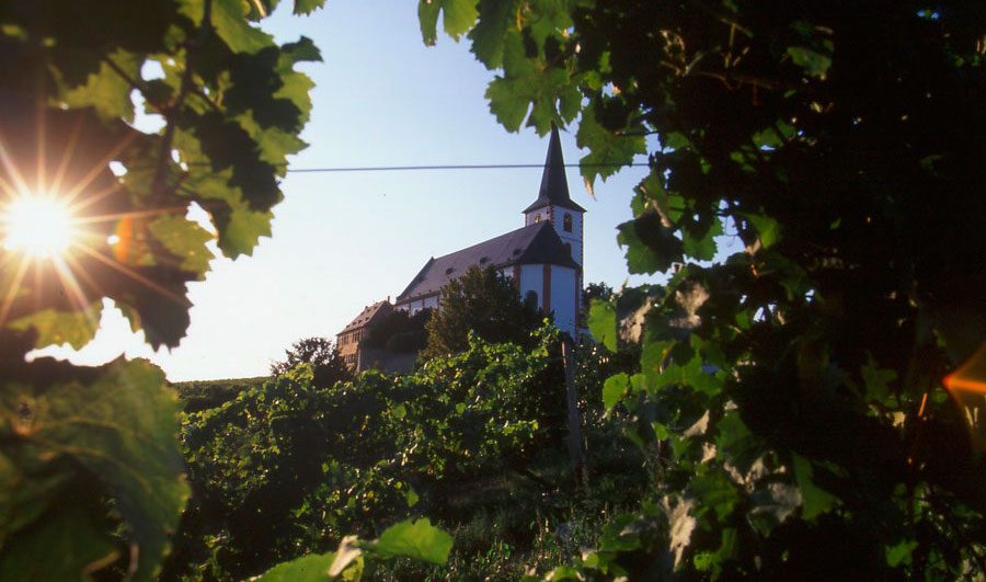 Hochheimer Hölle Riesling Kabinett trocken, Weingut Künstler, Rheingau, Duitsland 2012