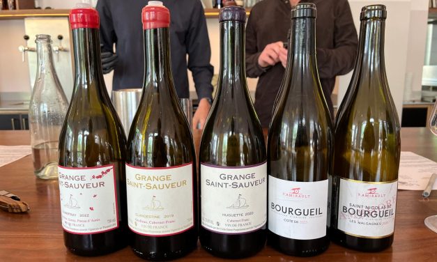 Loire in de breedte bij Café Wu
