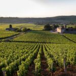 Bottles & Producers van Résidence Wijnen