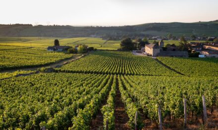 Bottles & Producers van Résidence Wijnen