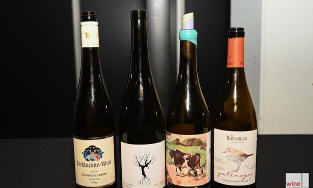 Eigentijdse combinaties van restaurant De Willem