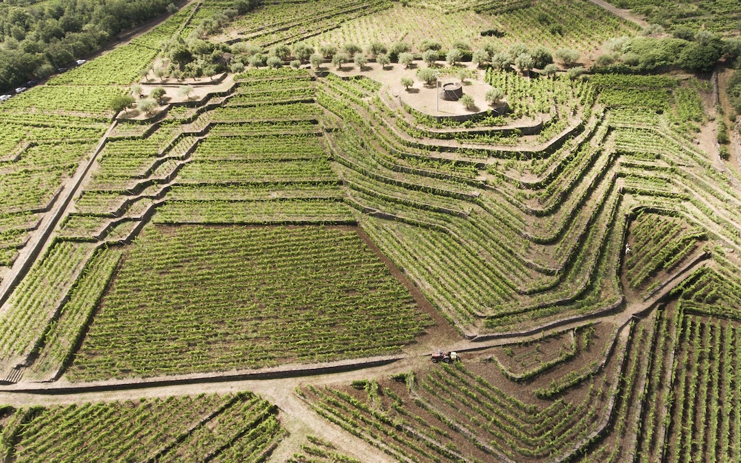 Tenuta Tascante Contrada Rampante, Tasca d’Almerita, Etna, Italië 2019