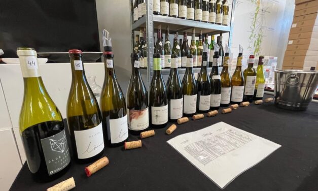 Summer Wine Tasting Le Vineur