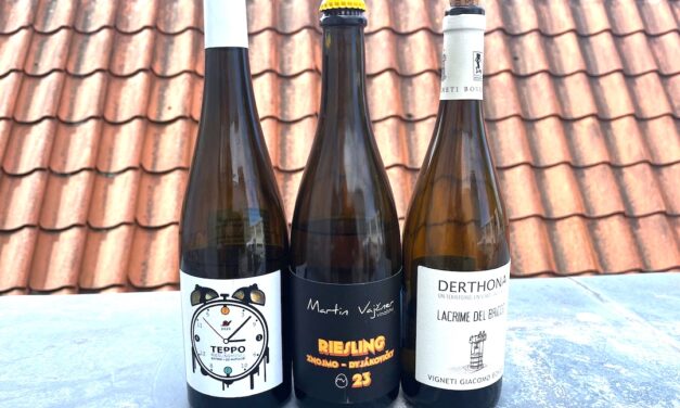 37e Proefschrift Wijnconcours – Tipje van de sluier 3