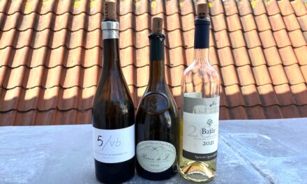 37e Proefschrift Wijnconcours – Tipje van de sluier 4