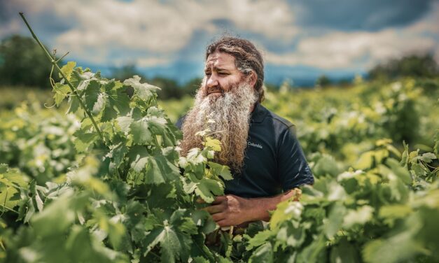 Ultreia Mata Los Pardos Mencía, Bodegas Raúl Pérez, Bierzo, Spanje 2020