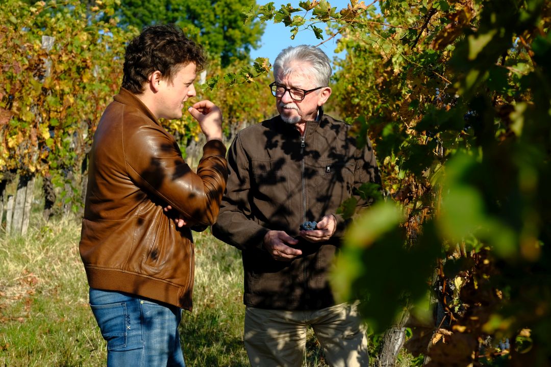 Kleinzoon Zsolt Jr. en Ede in de wijngaard Kleinzoon Zsolt Jr. en Ede in de wijngaard