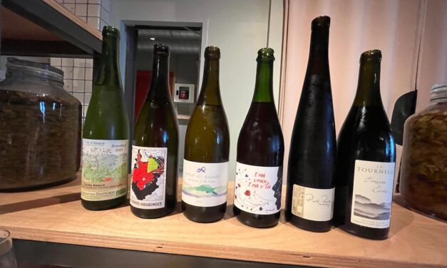 Eigenwijze natuurwijnen van Clavelin