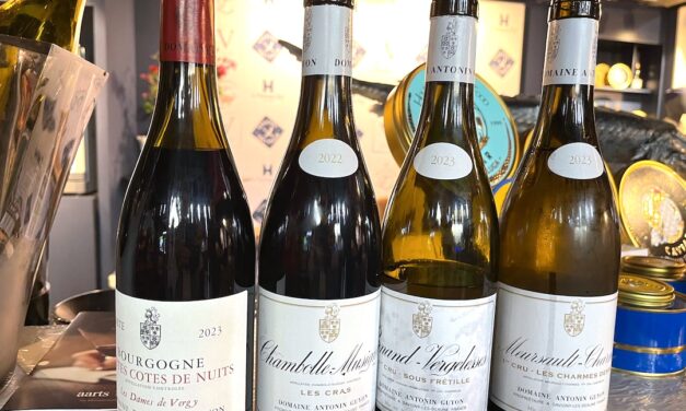 VINVIN presenteert toppers uit Bourgogne en Oostenrijk