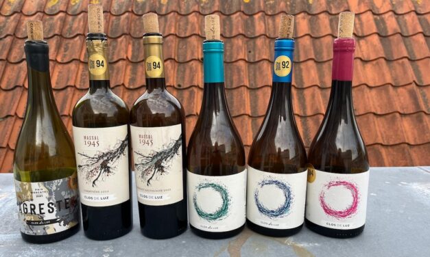 Proefjournaal – Nieuwe wijnen uit Chili