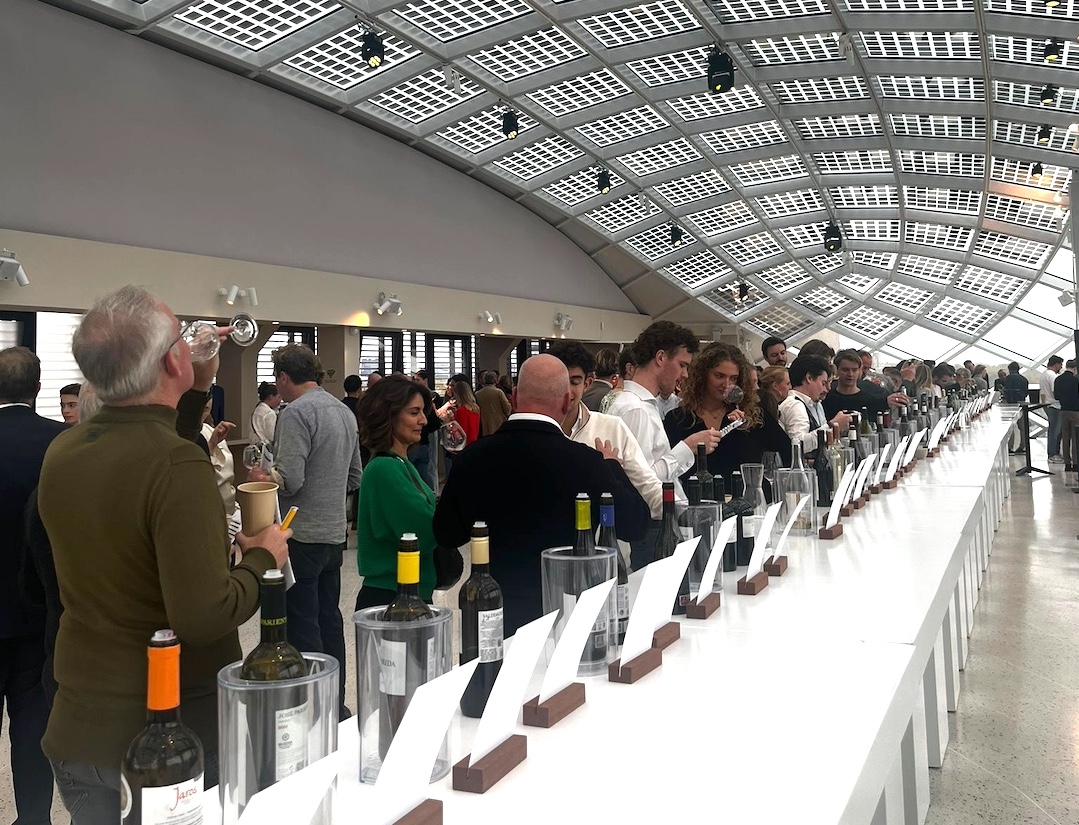 x Vinites 1 kopie Vinites