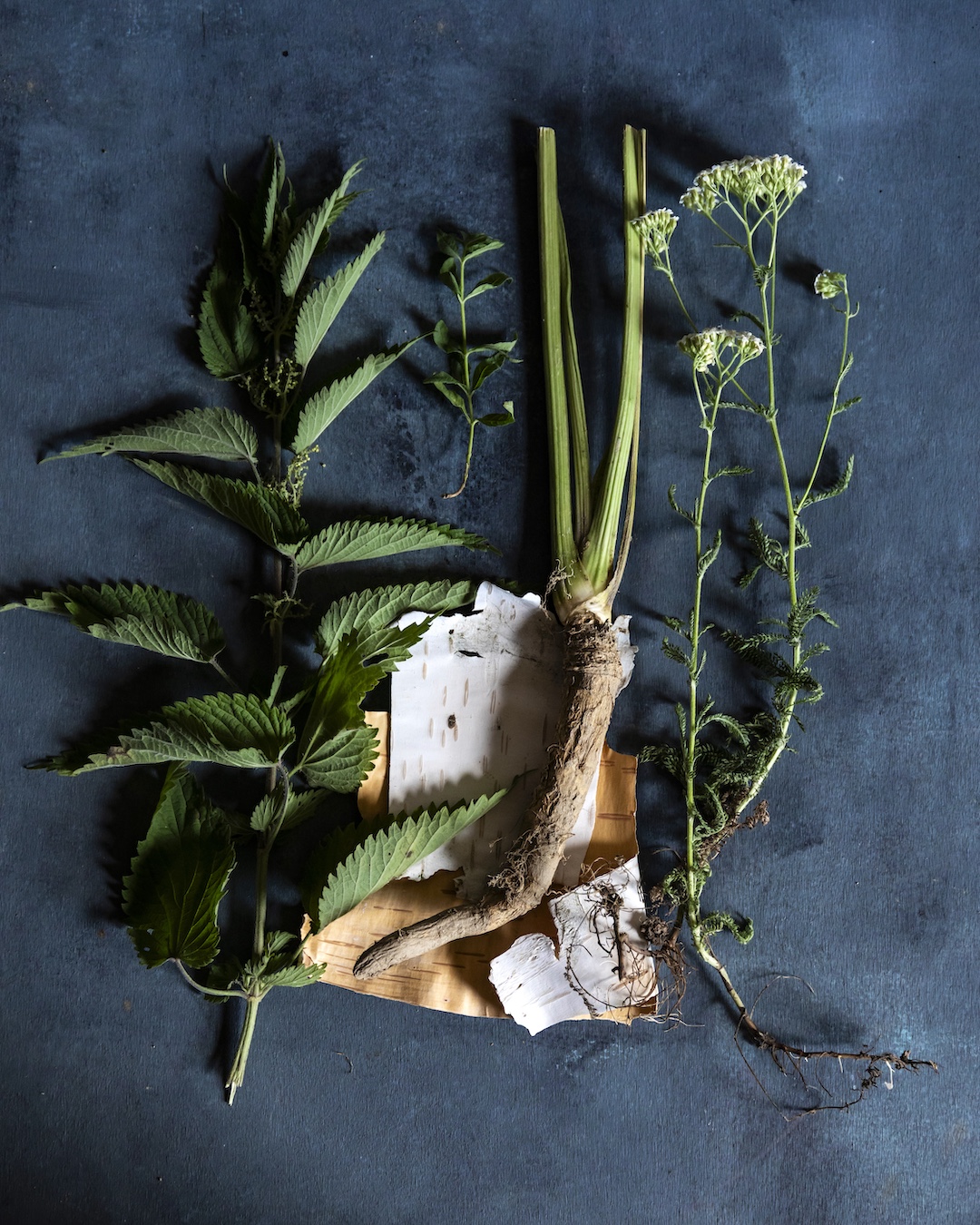 eenvoudige ingrediënten eenvoudige ingrediënten