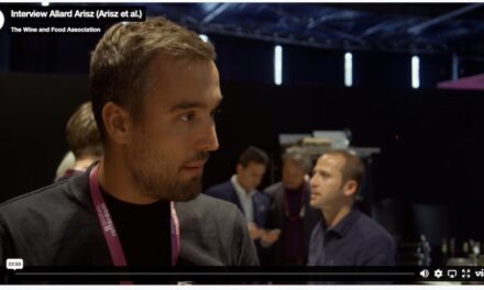 Interviews: Arisz et al.