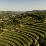 Gastronomische kwaliteitswijnen van Anfors Imperial