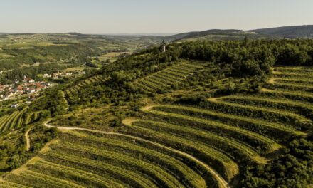 Gastronomische kwaliteitswijnen van Anfors Imperial