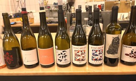 Verrassende vondsten van Le Vineur