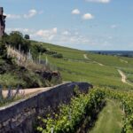 Wijnen van natuurwijnpionier Pierre Frick