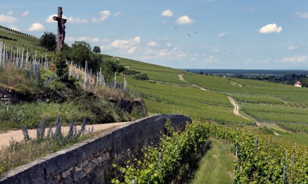 Wijnen van natuurwijnpionier Pierre Frick