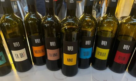 Karaktervolle wijnen van Vleck