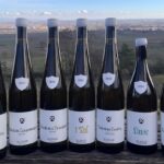 Proefjournaal – Wijnhuis Amsterdam