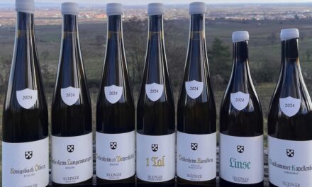 Proefjournaal – Wijnhuis Amsterdam