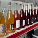 Het kleurenspectrum van L’Absurde Génie des Fleurs