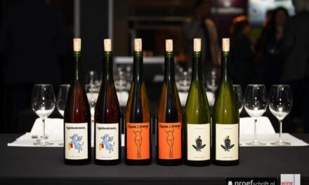 Verrassende Peruaanse combinaties van Nazka