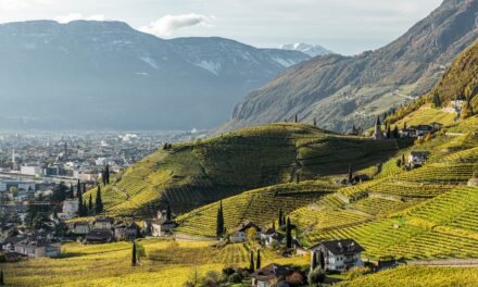 Alto Adige – 1: klein in oppervlakte, groot in variatie