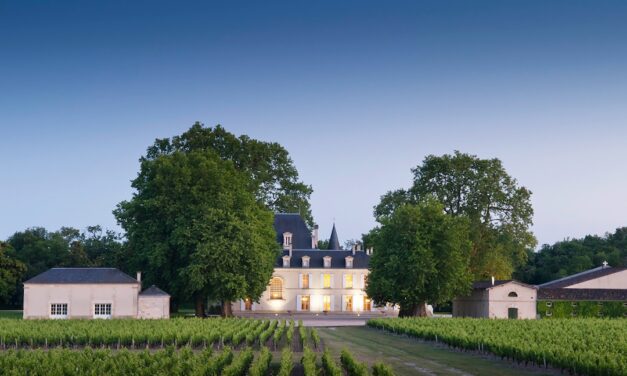 Bordeaux 2025: zéér veelbelovend
