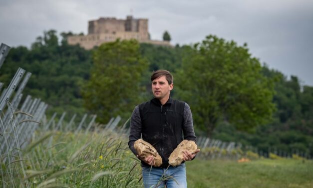 Maikammer Kapellenberg Chardonnay Grosse Lage, Weingut Seckinger, Pfalz, Duitsland 2023